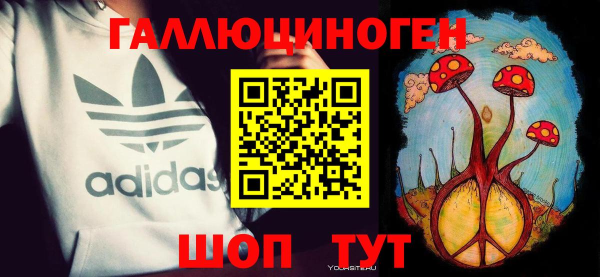 Людиново  Псилоцибиновые грибы мицелий  Вход с VPN  Галлюциногенные грибы Psilocybine cubensis 